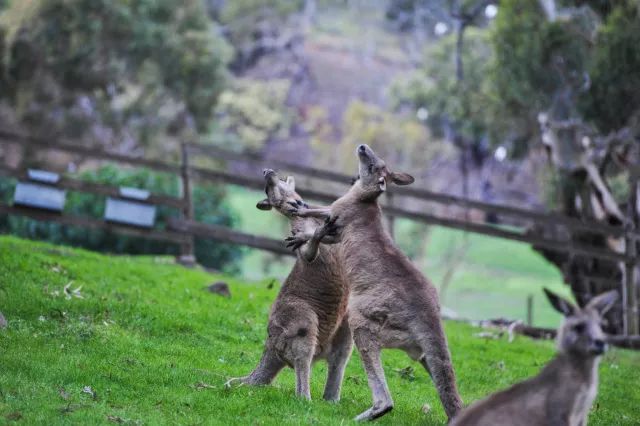 【世界虽大,何处是吾乡】精选出境线路TOP10