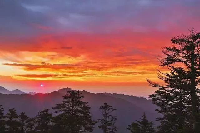 成都赏雪首选之地已“白头”,错过要等一年!|西岭雪山|成都|白沙_新浪新闻