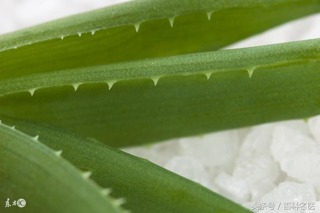 《前任3》:林佳吃芒果吃到死?芒果过敏真的会