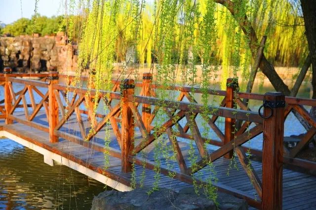 缤纷校园 | 上海市金山中学:青春不是一叠考卷,这里有十大文化节日等着你!