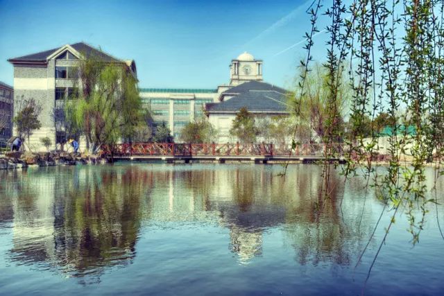 缤纷校园 | 上海市金山中学:青春不是一叠考卷,这里有十大文化节日等着你!