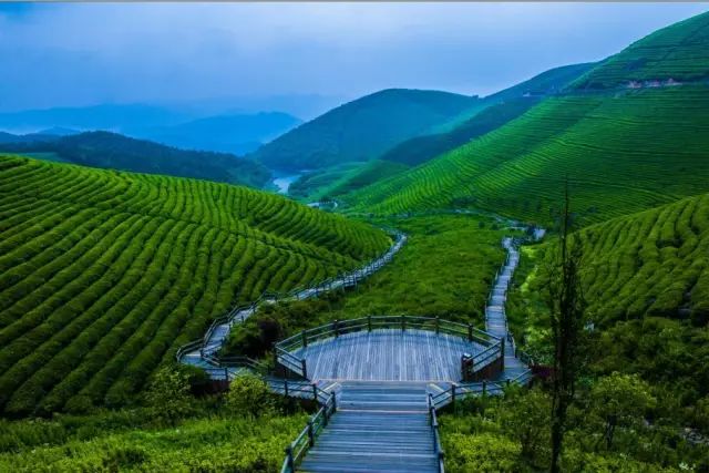 坐高铁也能注册 常旅客 ,100积分=1块钱!明天起