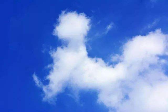 关于狗的成语你知道几个?全部猜对算你赢!