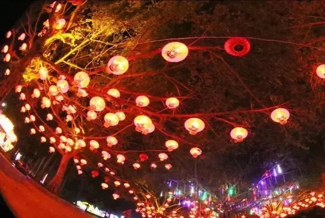 定了!2018年第十三届海口万春会时间、地点公