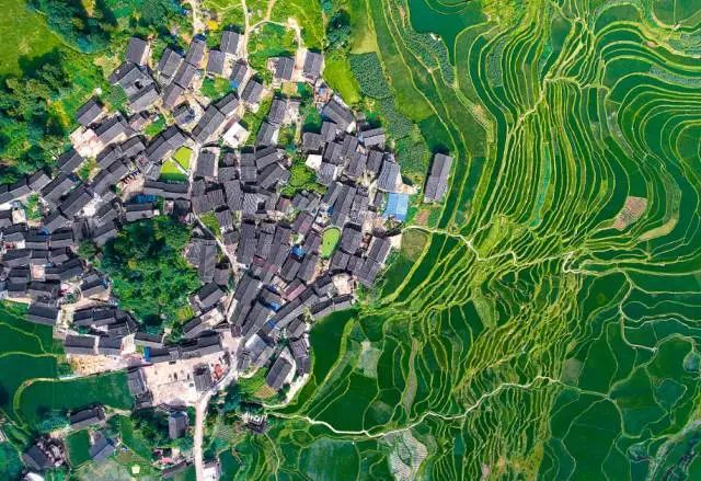 重大利好!厦门12月机票惊现大范围白菜价!最低