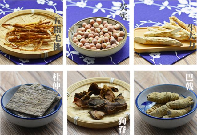 牛大力,巴戟,酒比例如何泡酒.