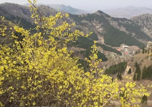 景区门票太贵?盘点莱芜必去的免费景点!