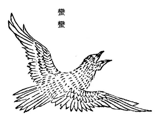 讲真,梁祝为什么偏偏就化蝶,而不是化比翼鸟呢?|越剧|文惠卡|表演艺术家_新浪新闻