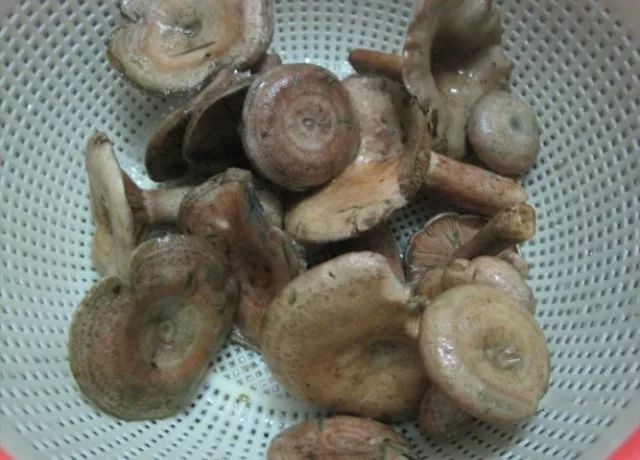 安庆人童年记忆里的美食,你都吃过吗