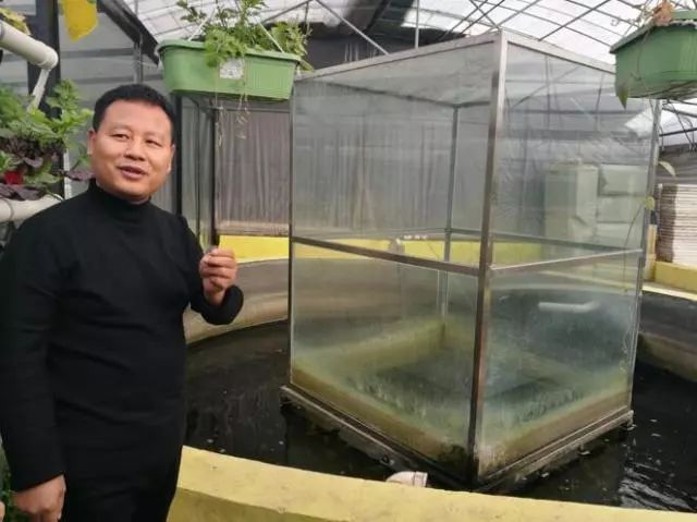 养鱼不换水、种菜不施肥，西安探索精准扶贫新模式