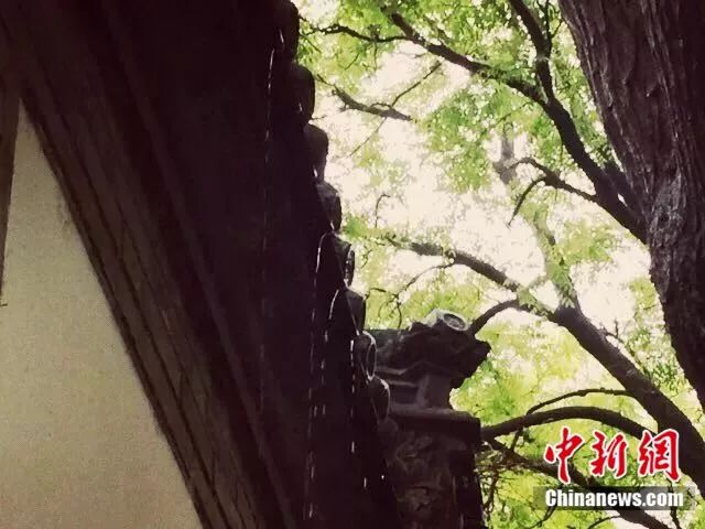 没有谁天生一副铠甲,是岁月让你无坚不摧|达达