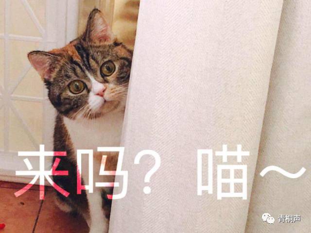 青春新时代 梦想新征程 高校学生评论征文活