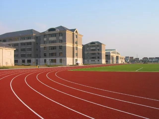 缤纷校园 | 上海市金山中学:青春不是一叠考卷,