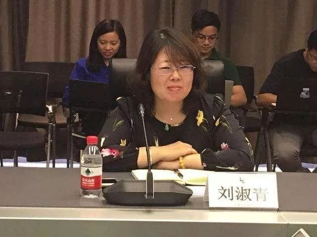 乐视网任命刘淑青为CEO 传贾跃亭为FF引入泰