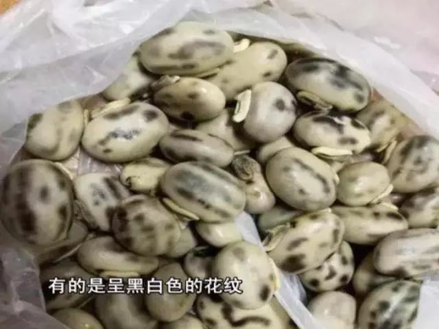 男子饭后全身发冷穿三件都不够,竟是这个豆子