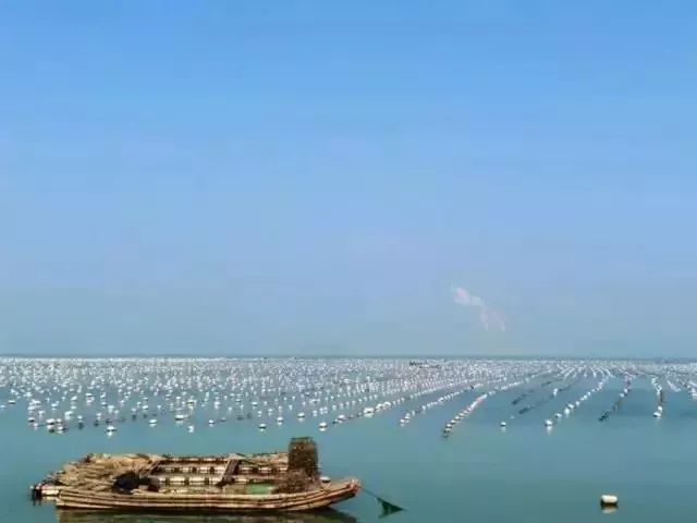 在深圳过年不知道去哪儿玩？错过这些地方你就真亏大了