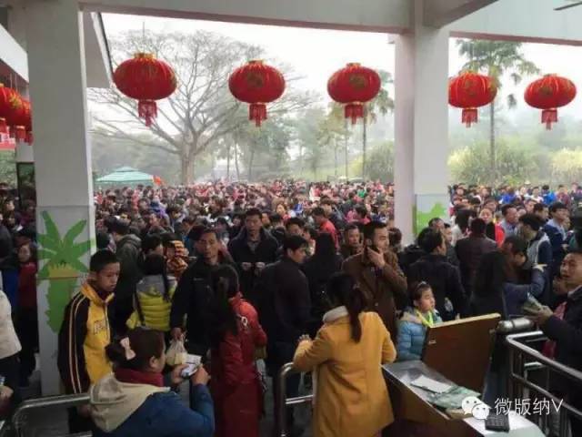 史上最堵!百万大军春节突袭版纳,多地沦陷!还有大批人马在前进