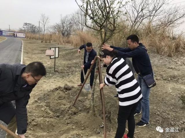 桶柏人口_人口普查(2)