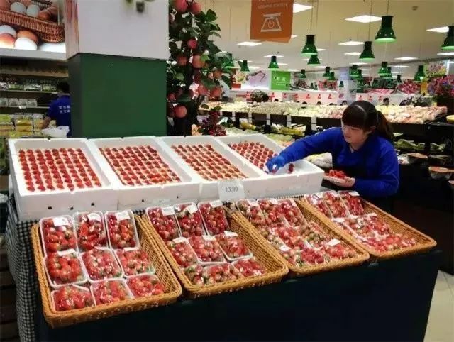 草莓摆满整个堆头,颇具气势 散称,包装陈品均有 满足不同人的需求