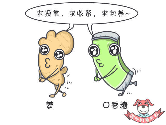 春节计划旅行?这份食品清单你一定用得上!