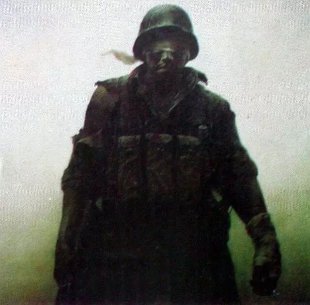 【中国陆军之声·夜读】南疆红杜鹃，绽放英雄花……