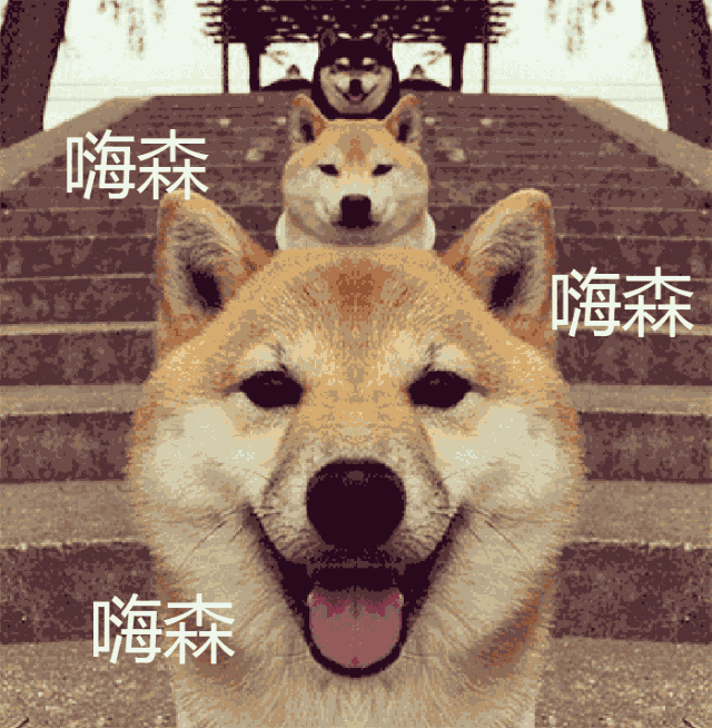 壁纸 动物 狗 狗狗 640_654 gif 动态图 动图