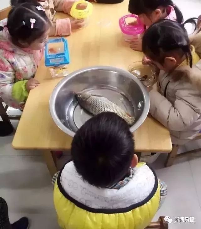 哄孩子吃药太难？这张照片火了！妈妈过分了，拉环都没开呢(图4)