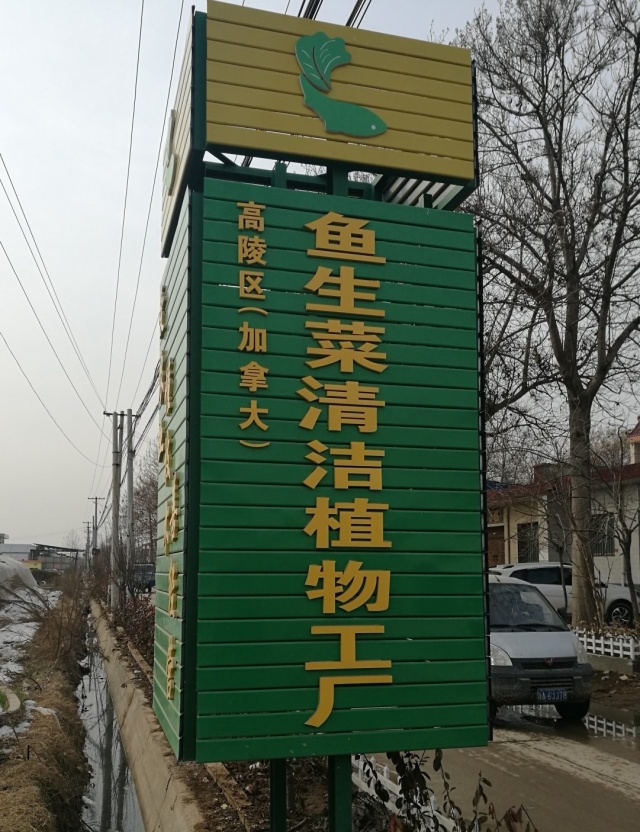 养鱼不换水、种菜不施肥，西安探索精准扶贫新模式