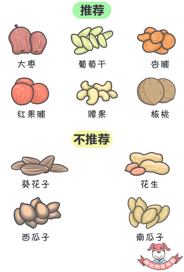 春节计划旅行?这份食品清单你一定用得上!