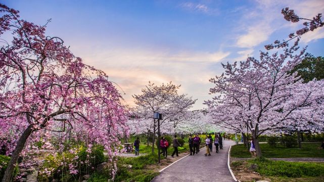 2017,七个震撼人心的公考故事