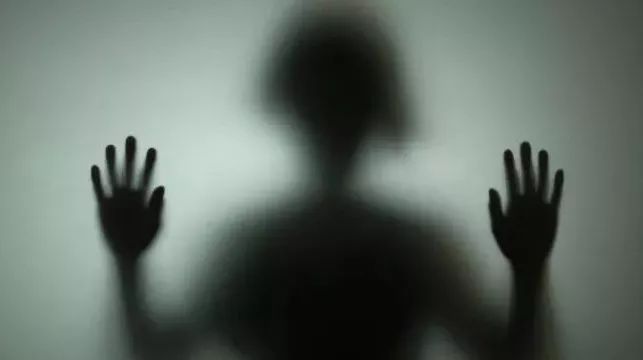 之前回应不太准确？雪乡主管单位称连夜准备官方口径