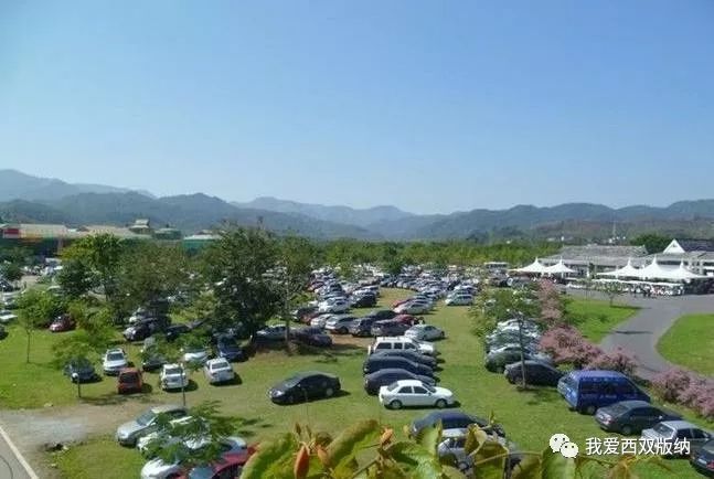 史上最堵!百万大军春节突袭版纳,多地沦陷!还有大批人马在前进