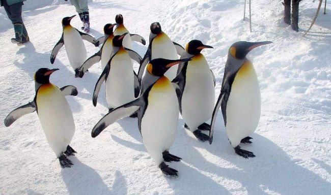 微看 | 2017年深圳财政收入首破8600亿!