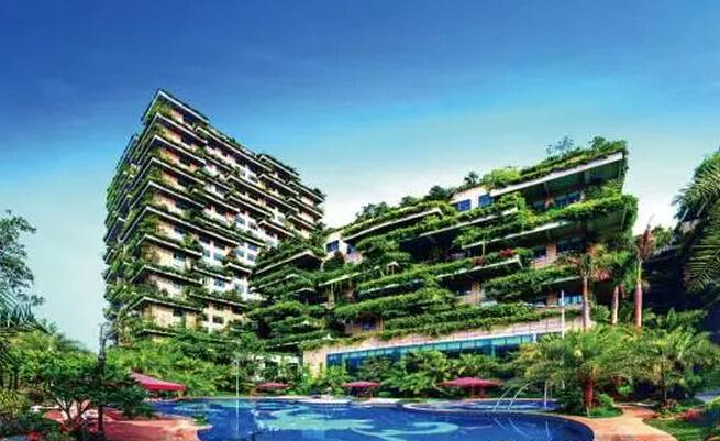 问鼎行业之巅这一年,碧桂园经历了什么