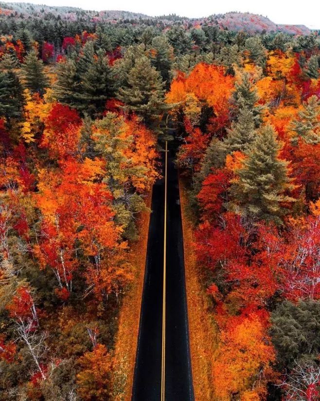 夜读 | 你好，2018|安乐国|汗水|征程_新浪新闻