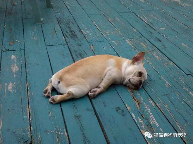 死亡跟睡觉一样感觉吗