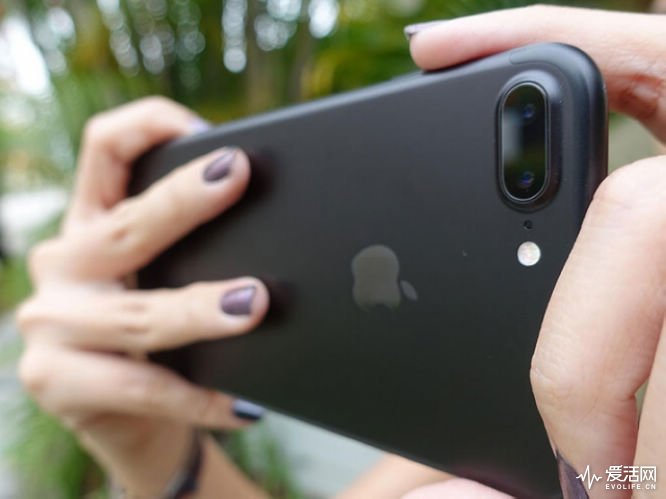 摄影器材排行_中国摄影器材行业产能规模2021摄影器材品牌销量全国排名