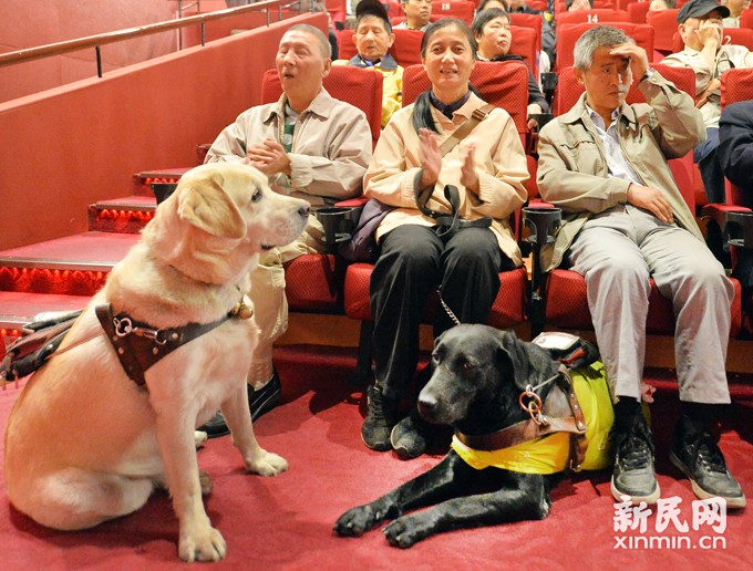 旺年汪汪汪!工作犬: 今天我上班