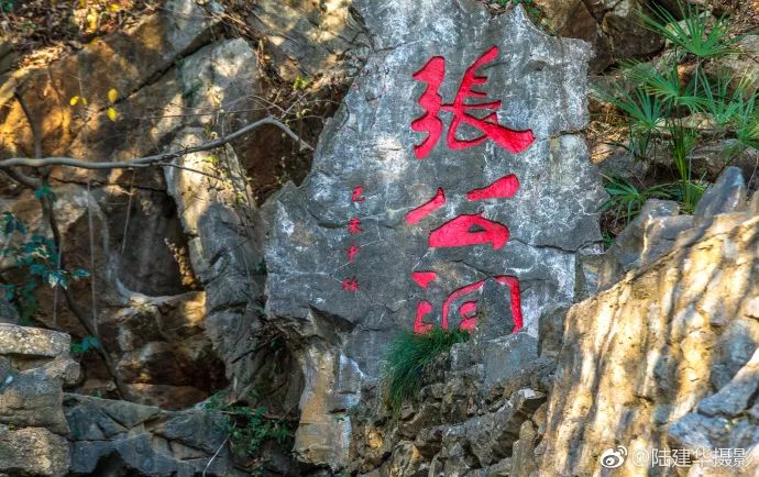 春天的温暖，从湖㳇深呼吸开始！