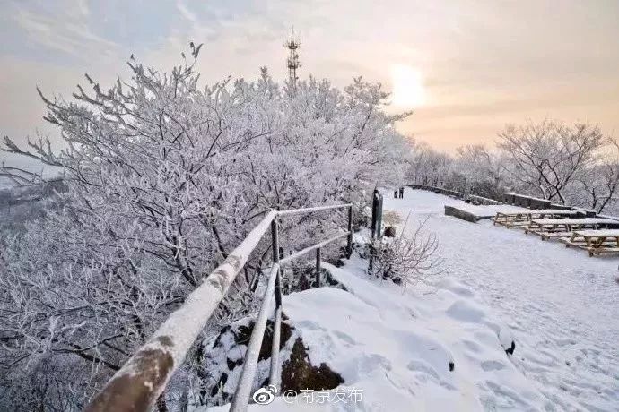 南京2018年的初雪,你期待吗?|紫金山|初雪|下雪