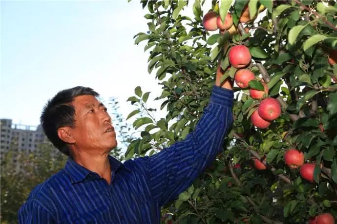 重磅!江西村干部可转编公务员!2018年将发展9