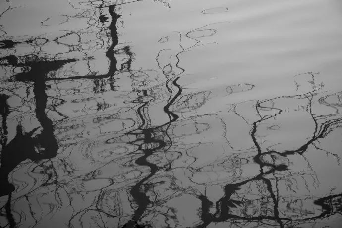 叶舟 | 立春|叶舟|一只鼎|春天里_新浪新闻