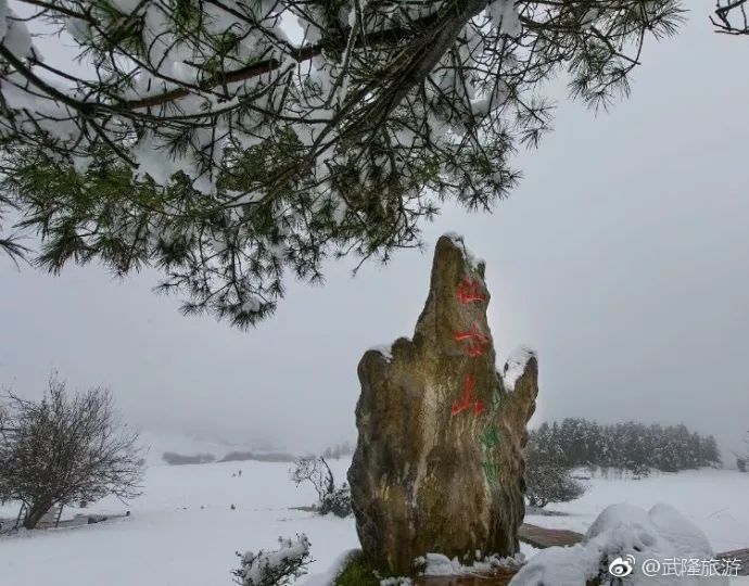 冷冷冷!冷到下雪,听说重庆冬天和玩雪更配哦~