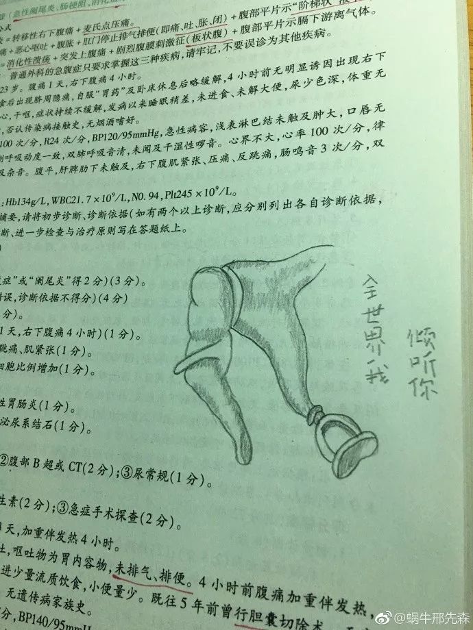 富有诗意的插图说明。