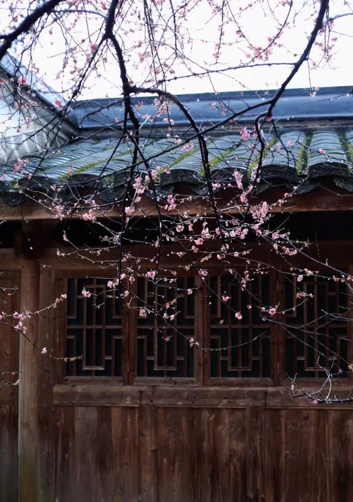 知否 | 古人的名、字、号,居然有这么多讲究