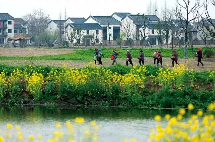 升温啦！南京向春天冲地产新闻刺！南京人该去哪里浪？
