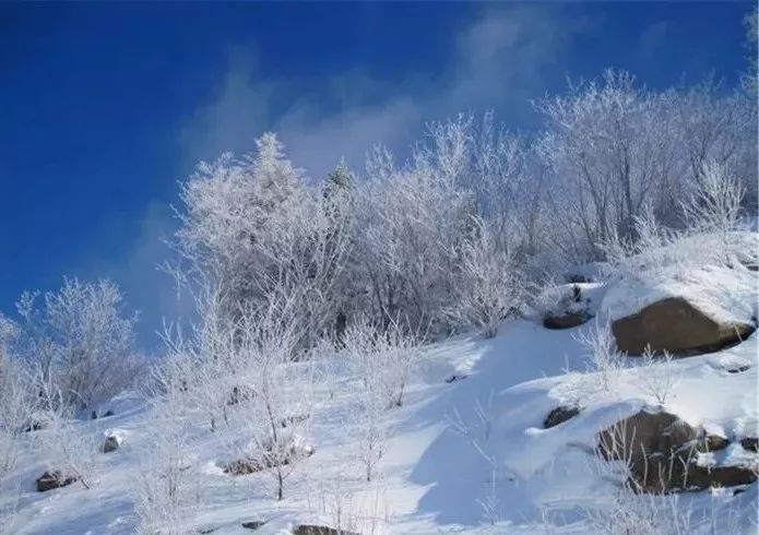 【中国陆军之声·聆听诗韵】我的南方和北方