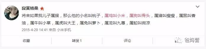 12生肖宝宝最热门小名大全！你家宝宝也在里面吗？