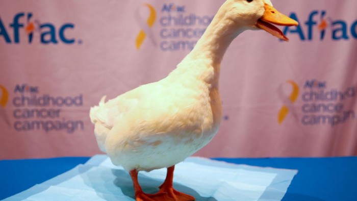 My Special Aflac Duck��һ��Ϊ��ͯ��֢�����ṩ�����Ļ�����