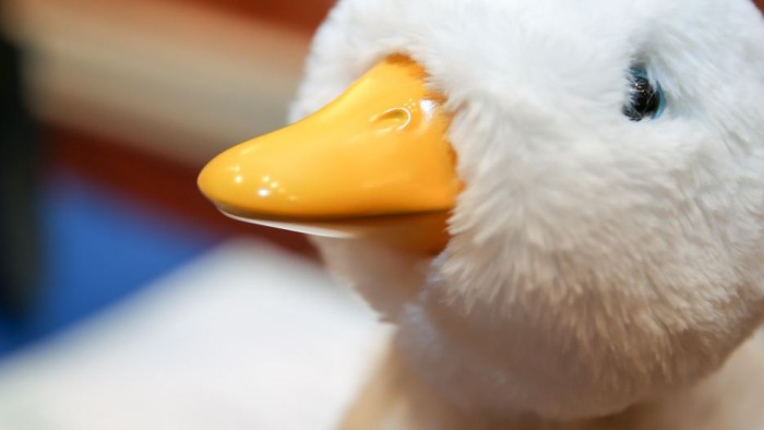 My Special Aflac Duck��һ��Ϊ��ͯ��֢�����ṩ�����Ļ�����